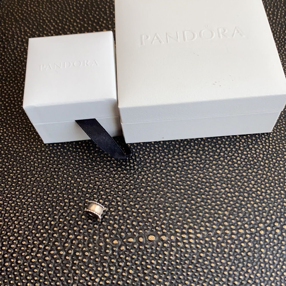 Pandora Clip - Picture 2 of 3